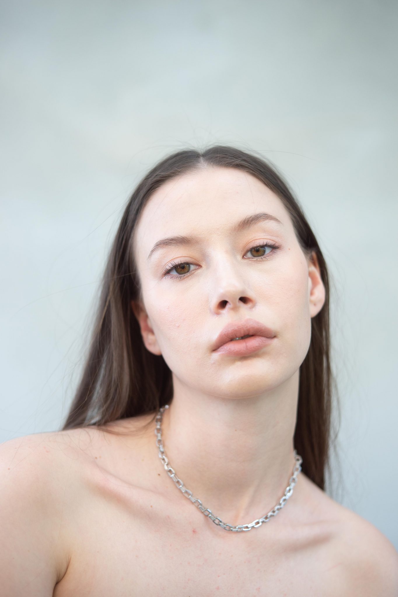 Baguette Chain Link Necklace Swan