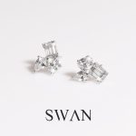 Illusion Mix Shape Earring